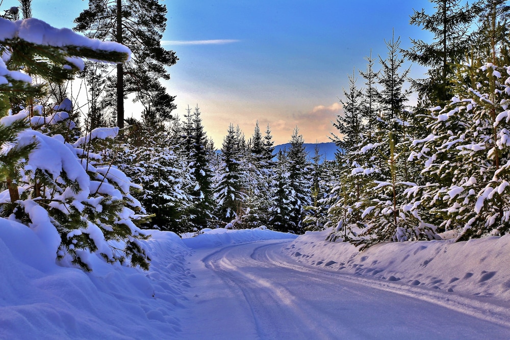 the green house guesthouse sunnemo