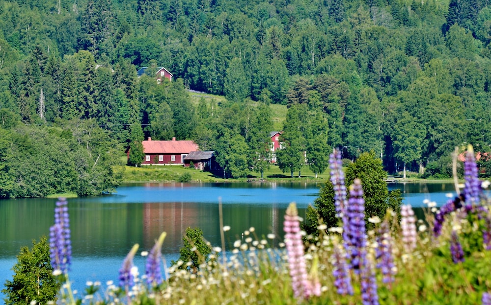 the green house guesthouse sunnemo