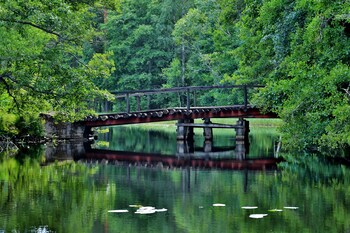 the green house guesthouse sunnemo