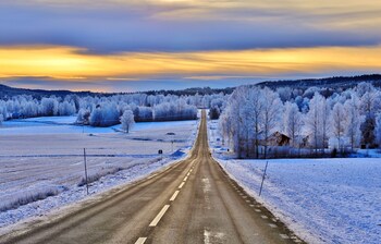 the green house guesthouse sunnemo