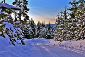 the green house guesthouse sunnemo