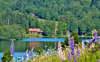 the green house guesthouse sunnemo