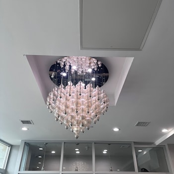 brooklyn vybe hotel ascend hotel collection