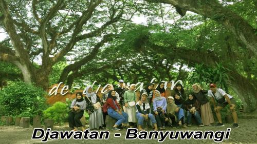 banyuwangi
