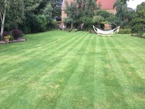 allington