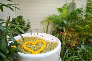 sini vie villa by ini vie hospitality