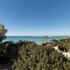 porto cesareo