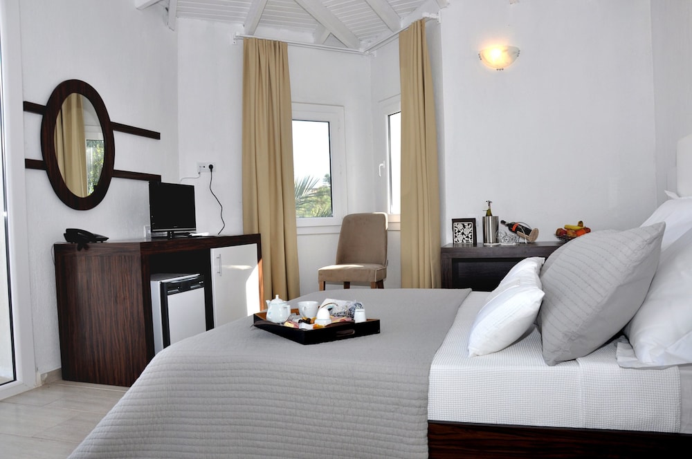 princess artemisia hotel