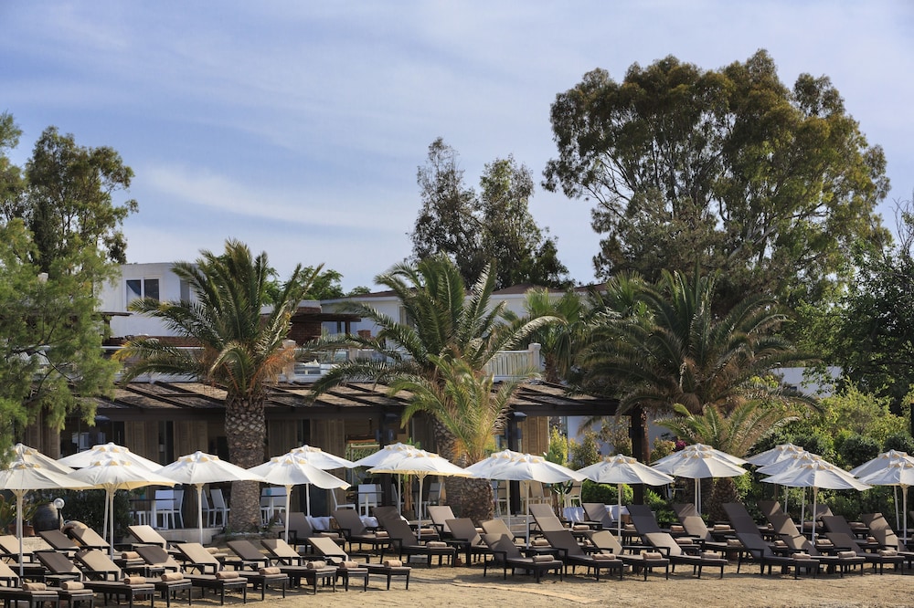 princess artemisia hotel