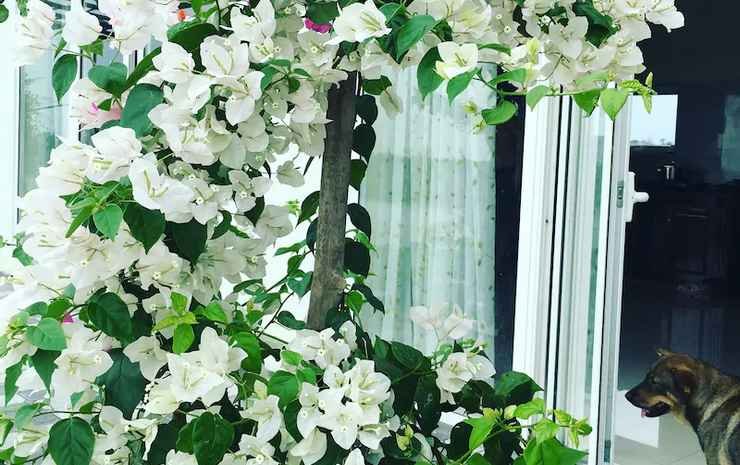 Lotus House,Ngoc Lien Dai Ha Kien Thuy Hai Phong,2 star