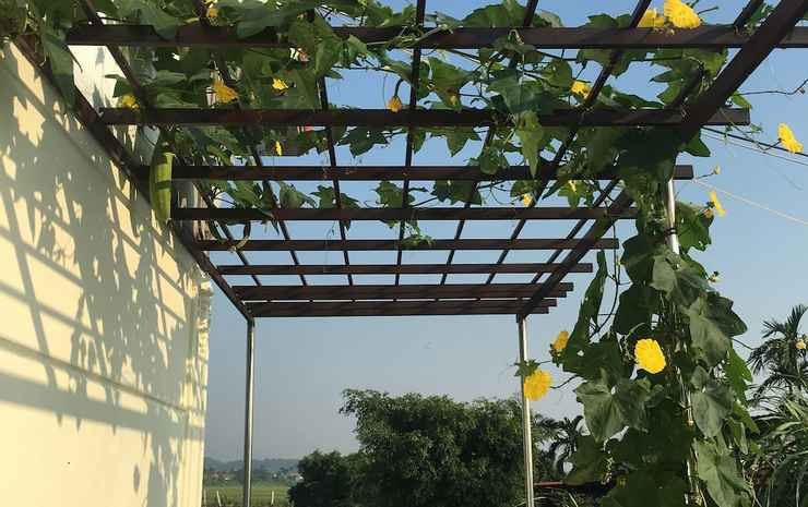 Lotus House,Ngoc Lien Dai Ha Kien Thuy Hai Phong,2 star