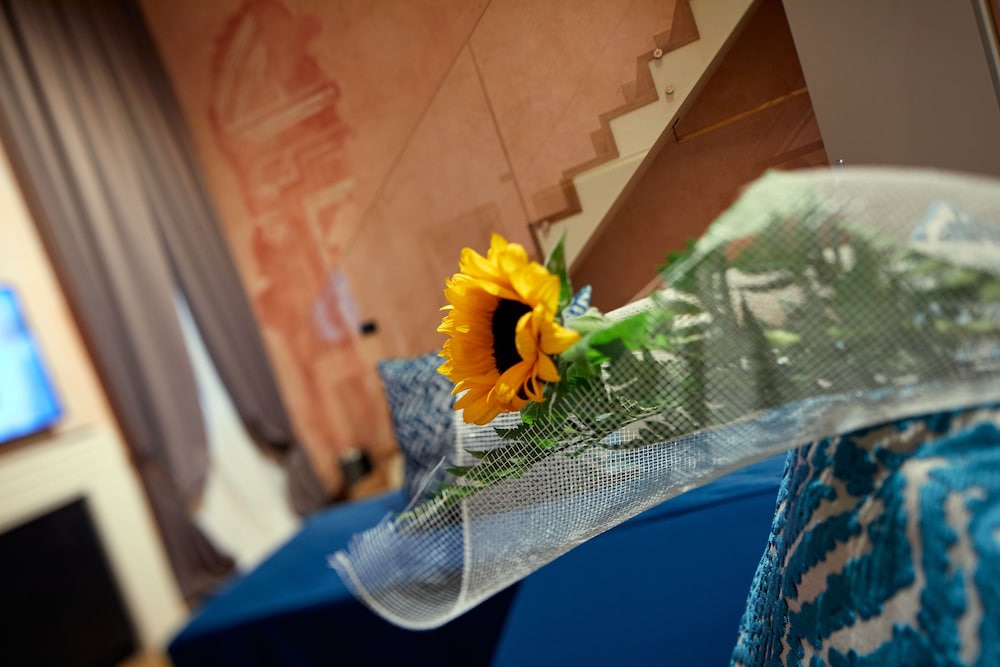 ca dei proverbi suites