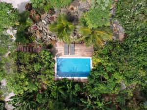 rarotonga
