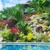rarotonga