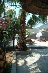 Santa Maura,Lefkada Town>>Lefkada,2 star