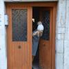 dorso duro apartment