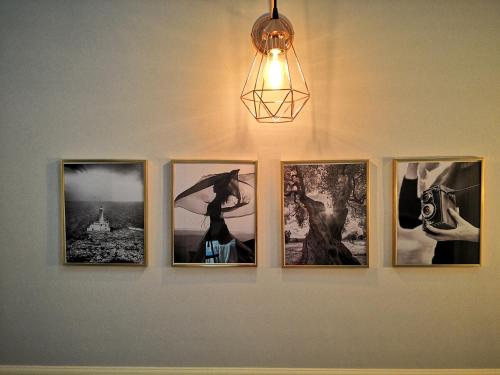 palazzo forleo luxury apartment