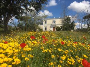 villa carafa de cillis