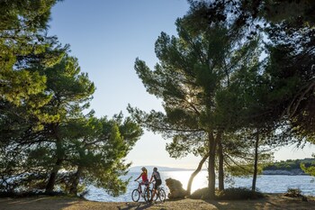 imperial valamar collection hotel