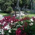 forte dei marmi