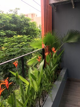 olga apartment danang