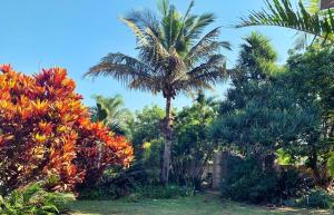 The Wilds Guest House,Kwazulu-Natal>>Hluhluwe,3.5 star