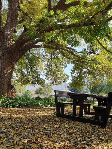 la bastide guesthouse