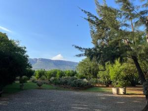 hartbeespoort