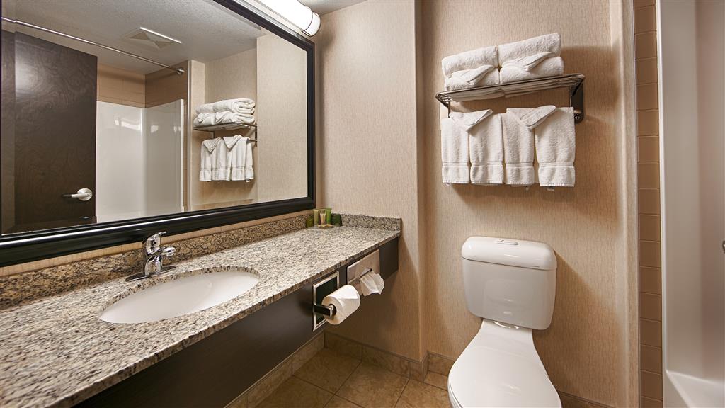 best western bonnyville inn and suites