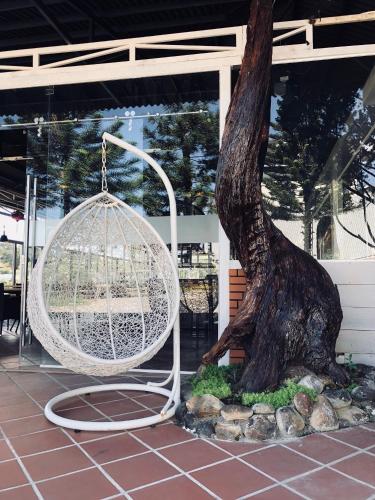 berry valley homestay