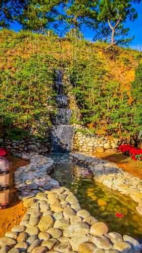 berry valley homestay
