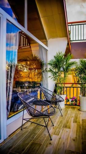berry valley homestay