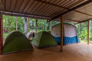 Uk Nature Stay,Sirsi - Yellapur Road Chandagulli Village Idgundi 581359,3 star