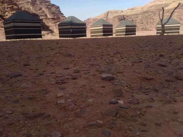 bedouin experience camp