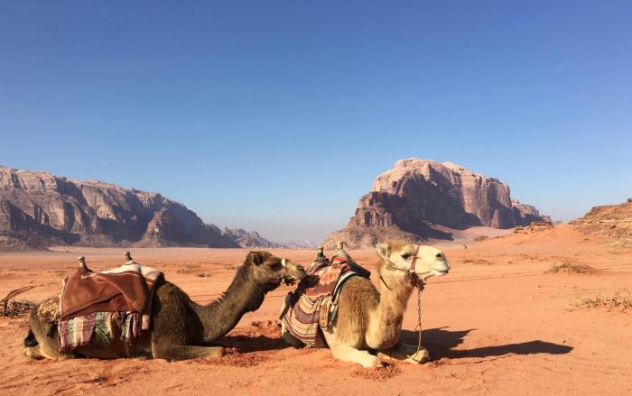 bedouin experience camp