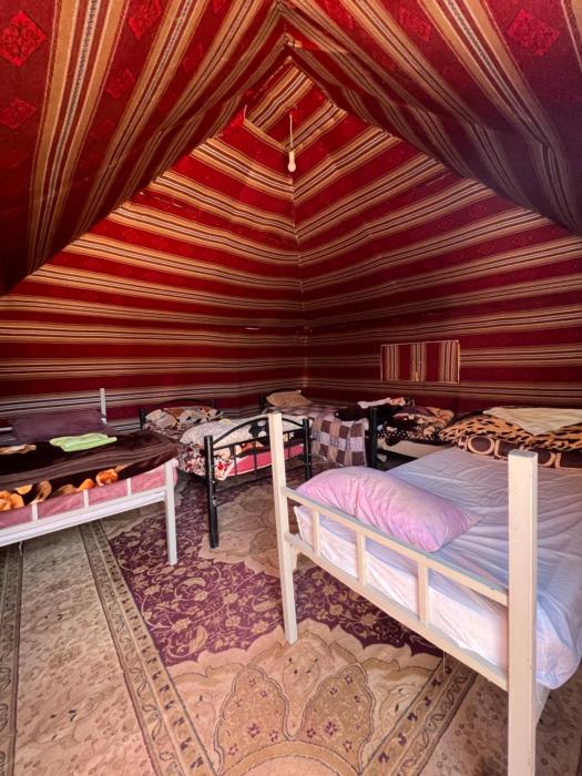 bedouin experience camp
