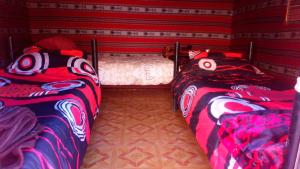 bedouin experience camp