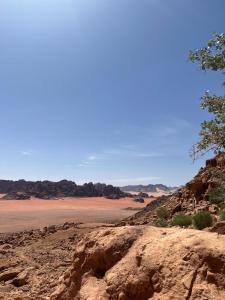 wadi rum