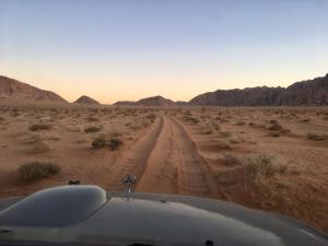 bedouin experience camp
