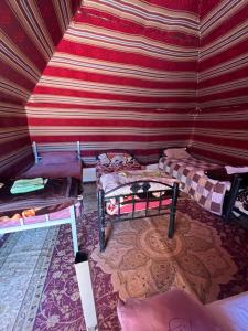 bedouin experience camp