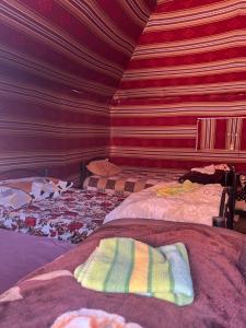 bedouin experience camp