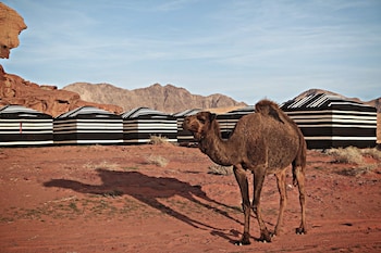desert melody campsite
