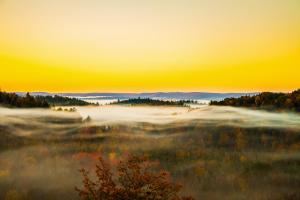 le bellevue modern lodge