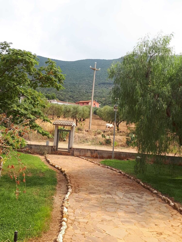 bandb porta del gargano