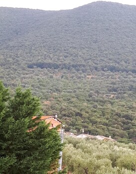 bandb porta del gargano