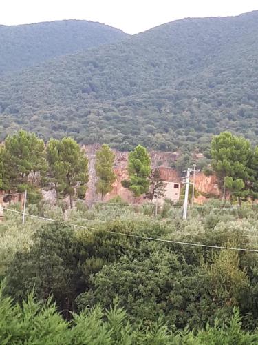 bandb porta del gargano