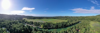 loboc