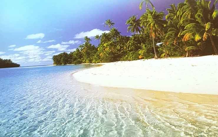 loboc