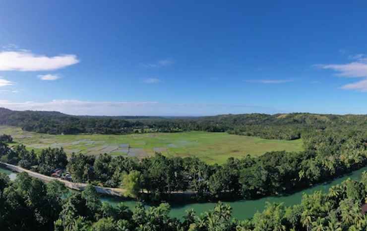 loboc