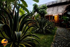 loboc
